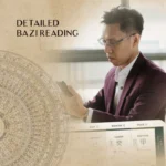 BaziReading_e44fbace-2630-44e6-989b-b40568db819d